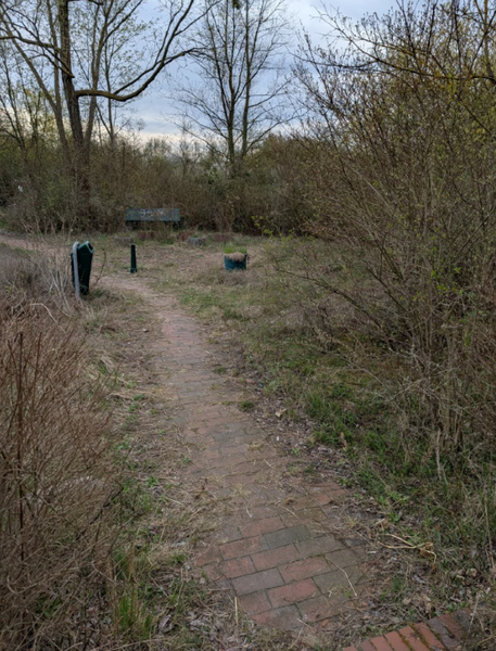 Weg im Schulgarten vor dem Frühjahrsputz
